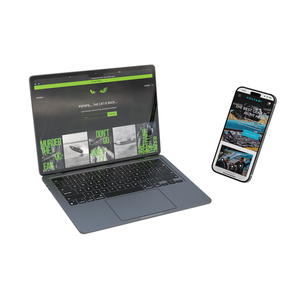 PRODUCT SALES SHOPIFY THEME - LEVEL II