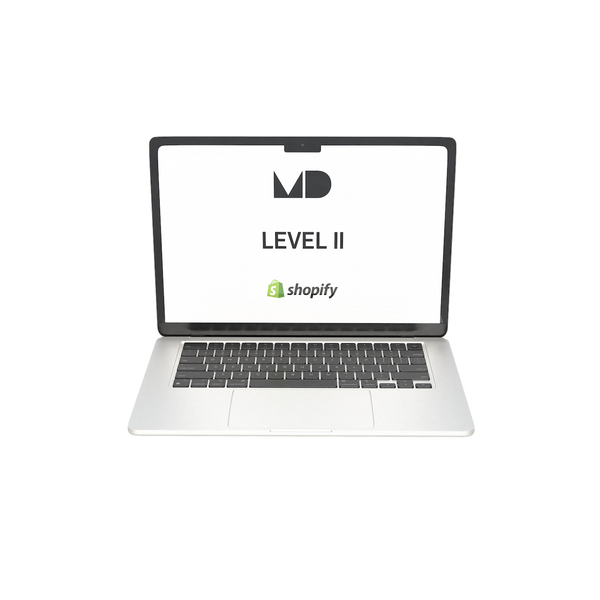 CUSTOM SHOPIFY THEME - LEVEL II